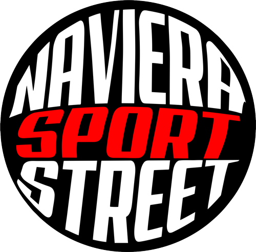 LOGO-NAVI